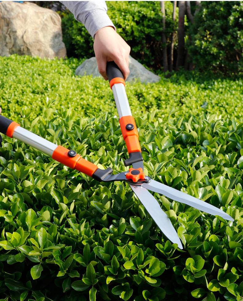 Professional Gardening Shears for Pruning Fruit Trees, Trimming Branches, and Lawn Maintenance – Versatile Hedge Shears and Landscaping Tools