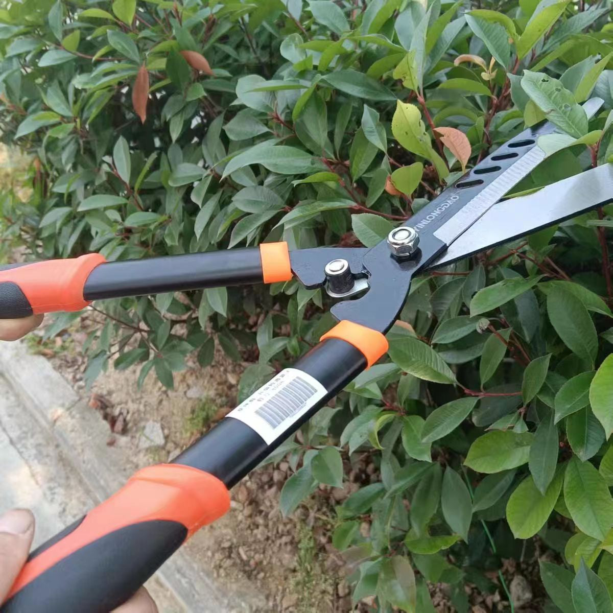 Professional Gardening Shears for Pruning Fruit Trees, Trimming Branches, and Lawn Maintenance – Versatile Hedge Shears and Landscaping Tools