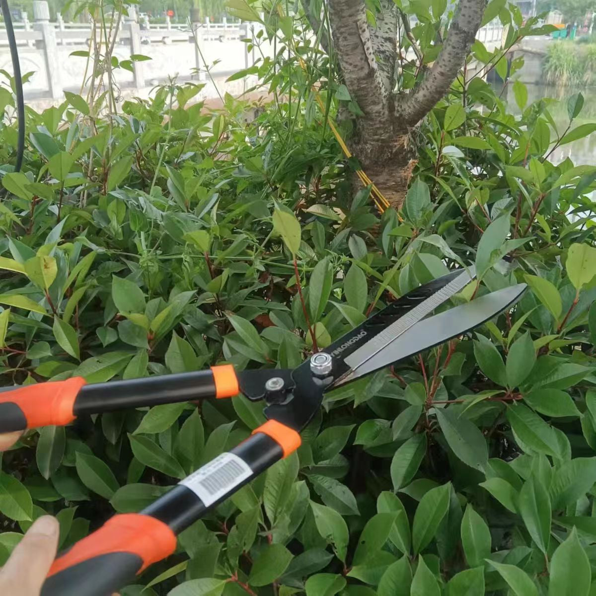 Professional Gardening Shears for Pruning Fruit Trees, Trimming Branches, and Lawn Maintenance – Versatile Hedge Shears and Landscaping Tools