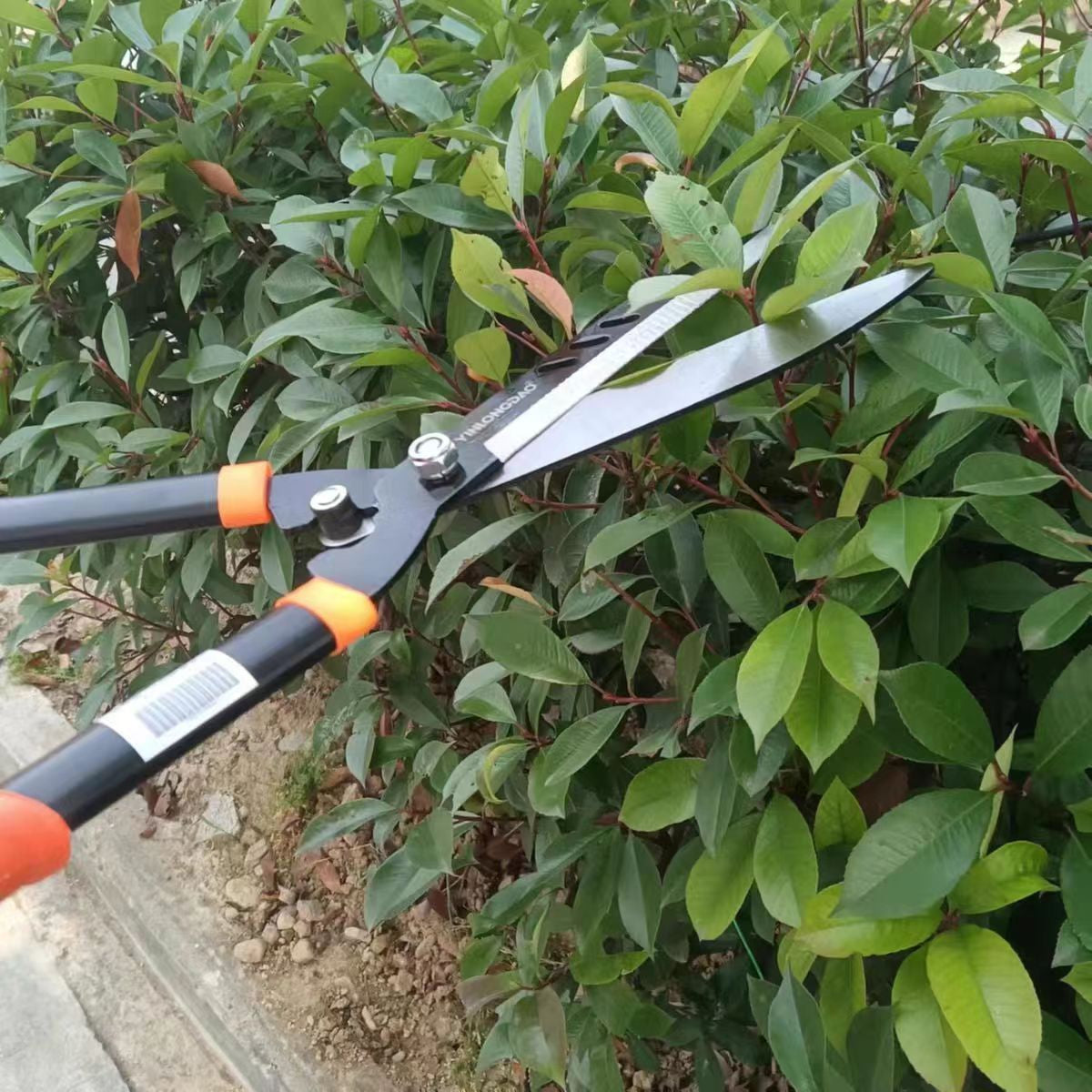 Professional Gardening Shears for Pruning Fruit Trees, Trimming Branches, and Lawn Maintenance – Versatile Hedge Shears and Landscaping Tools